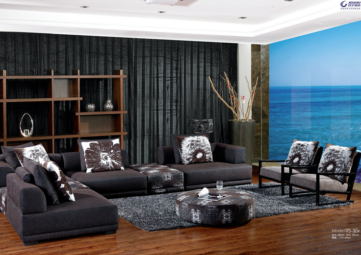 RS-30  全国统一零售价：27120元